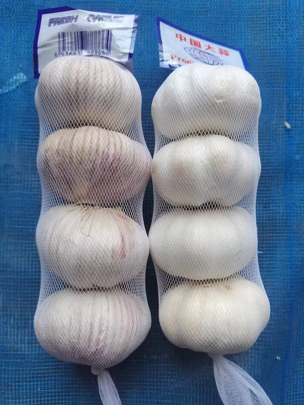 9eccfcda-7dd5-4df3-b8b1-e14d7360d8f2(001)