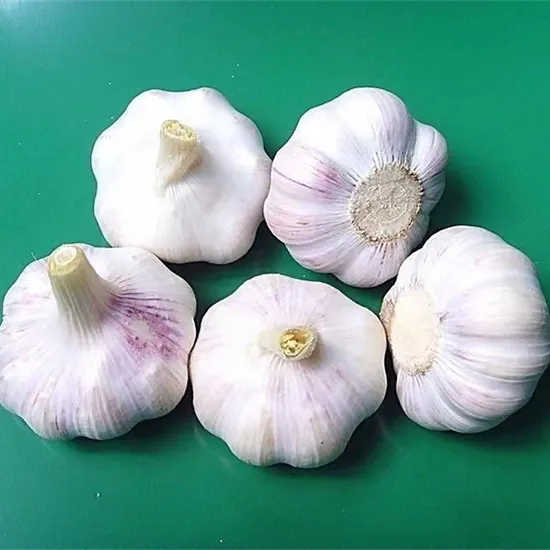 Fresh Organic Garlic