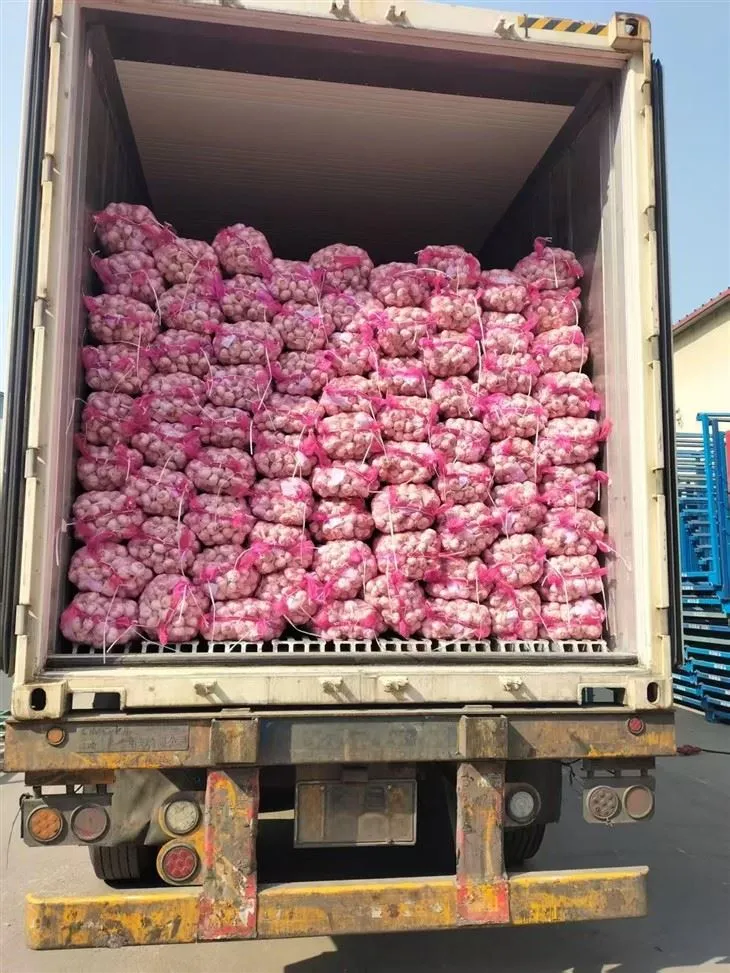 Lijep miks češnjak