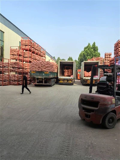 Velika vreća bijelog luka