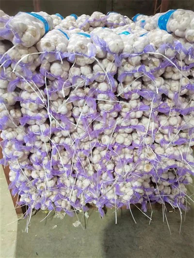 Mala vrećica bijelog luka